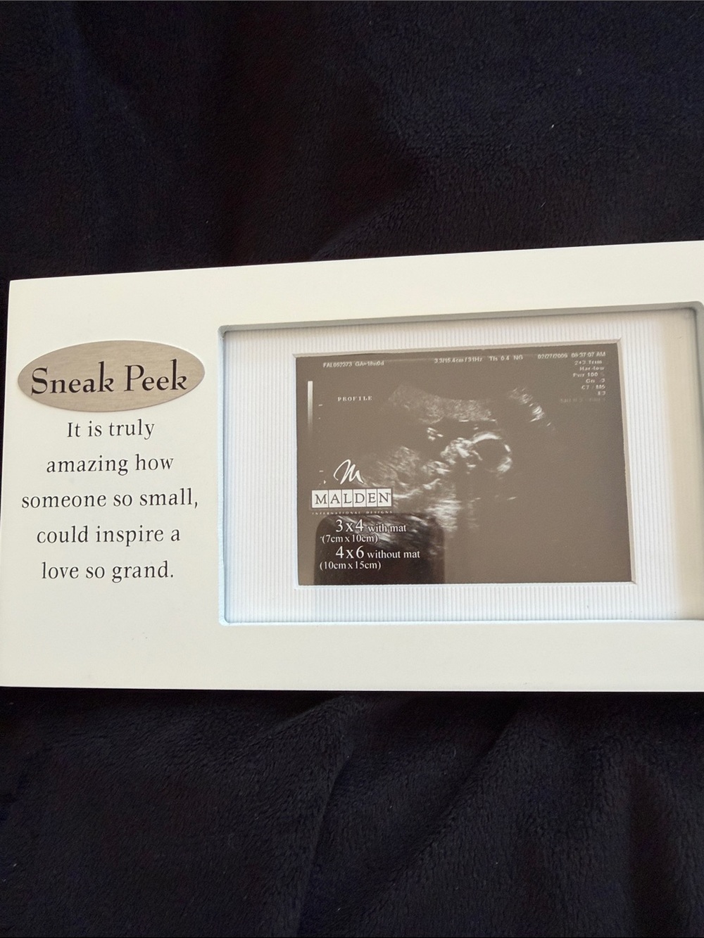 Small Pets Subcategory Classification